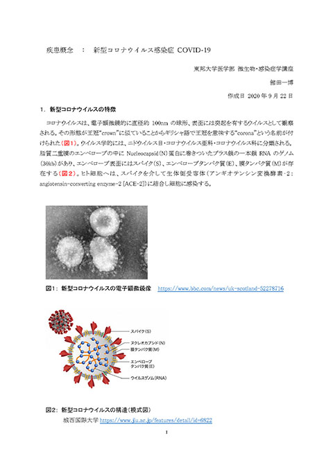 疾患概念　：　新型コロナウイルス感染症 COVID-19